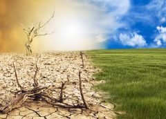 Global Warming-3