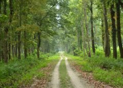 Siliguri and Laltong