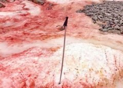 Ukren Red ice