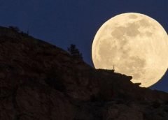 mini moon