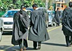 Advocate High Court