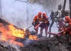 China Forest Fire