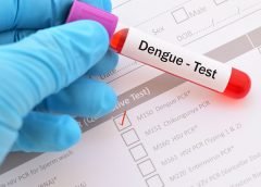 Dengue