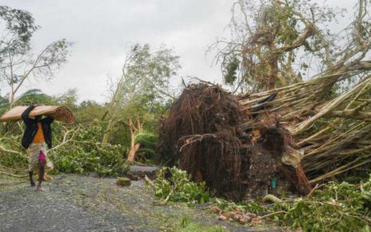 Electrick Post Foll Lawn-1