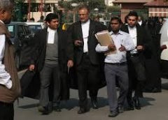 advocate