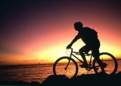 cycle