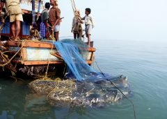 fisherman