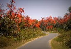 purulia