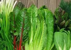 vegitable