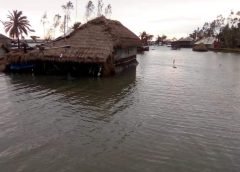 Amphan Effect Sundarban