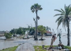 Amphan Effected Sundarban