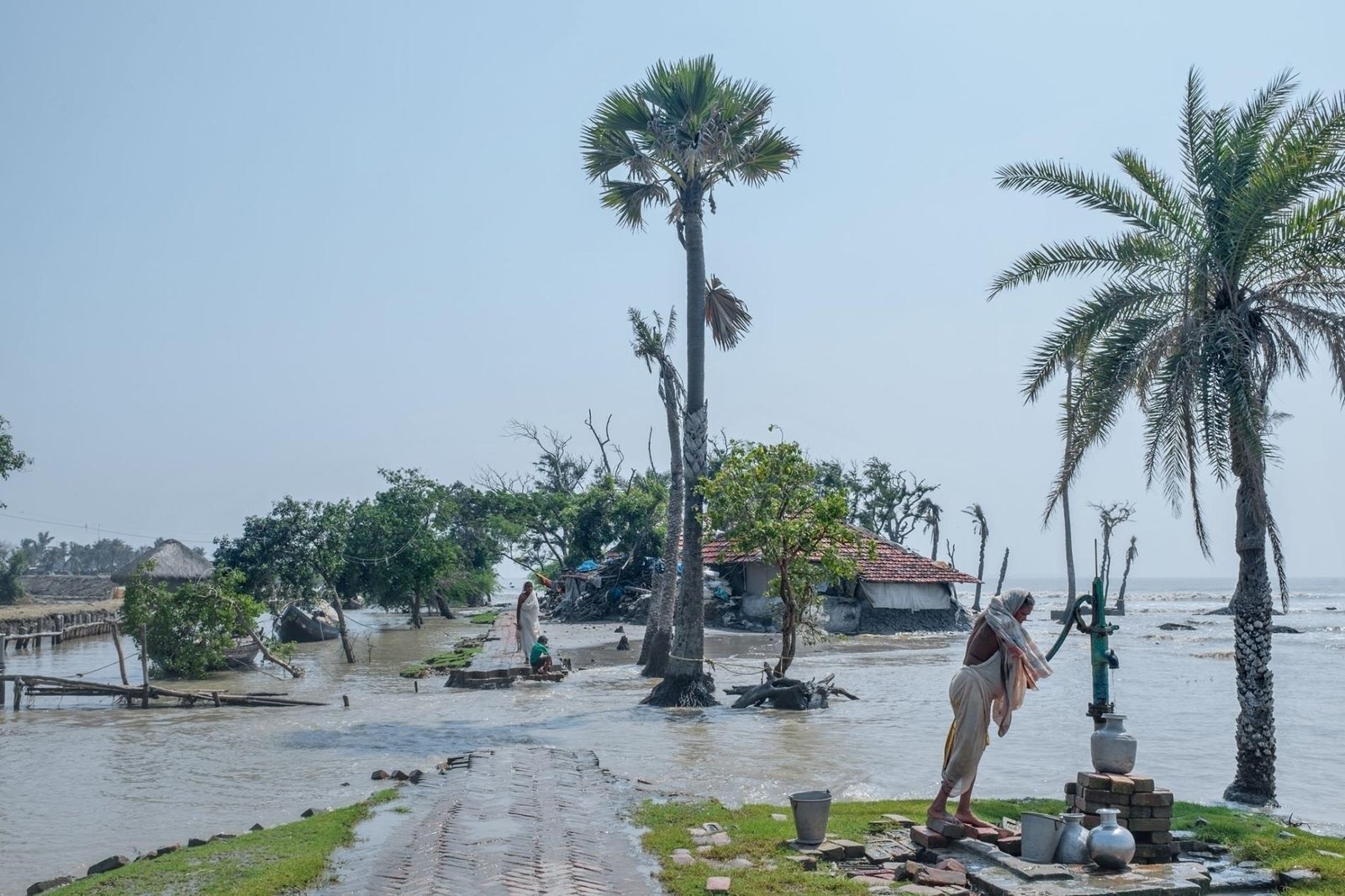 Amphan Effected Sundarban