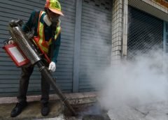 Dengue