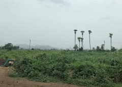 Empty Land