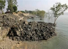 Sundarban River Dam