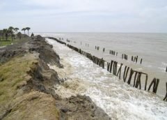 Sundarban River