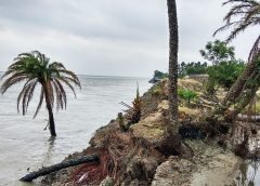 ghoramara island