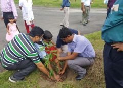 kalyani plantation