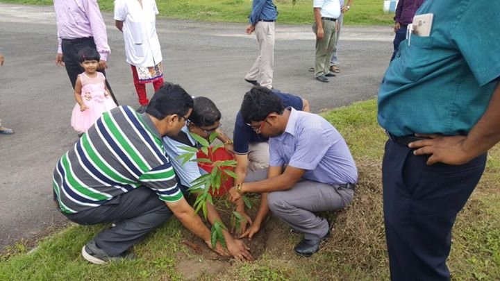kalyani plantation