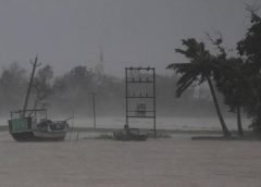 sundarbon