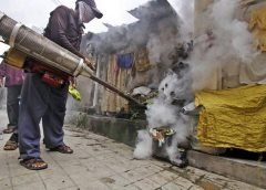 Dengue Effect