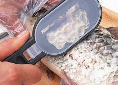 Fish Skin