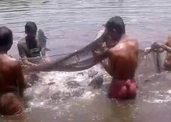 Fish and Fisherman