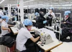 Industry Labour