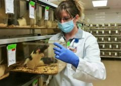 Lab Technician