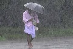 highest rain
