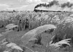 Pather Panchali-1
