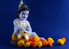 puja and krisno