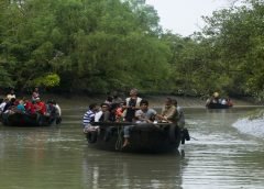 Sundarbon-1