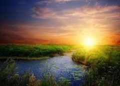 Sunrise 6