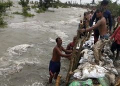 sundarban and save life