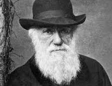 Charles Darwin-1