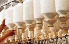 Small Cotton Industry-1
