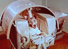 Sputnik-2-1