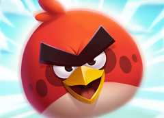 Angri Birds-1