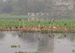 Satragachi-1