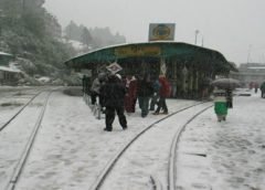 darjelling and snowfall