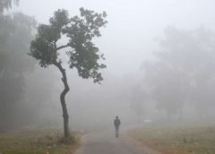 fog and bengal2