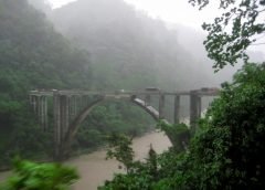 fog and north bengal