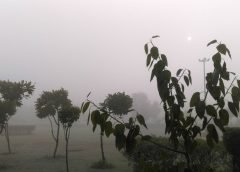 fog and rain