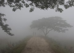 fog and wb weather