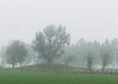 fog and weather2