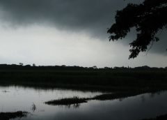 rain and sky 2