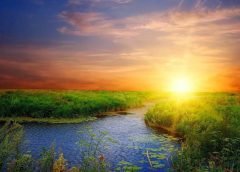 sunrise-6
