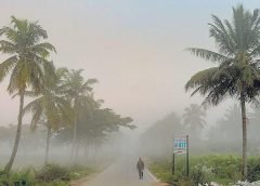 weather and 2022