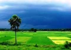 Weather